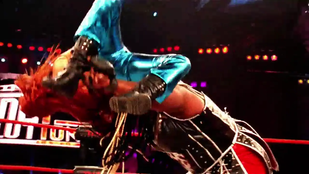 Character Profile Package - Awesome Kong thumbnail